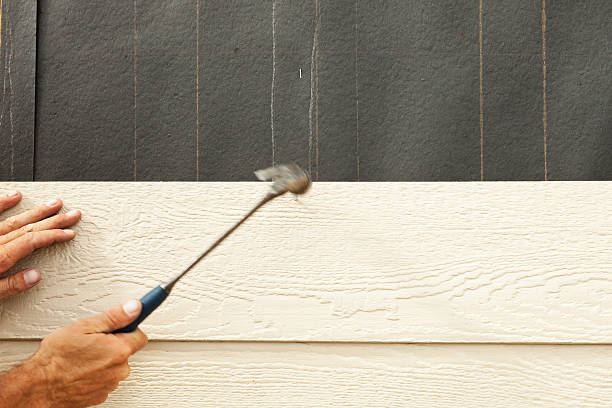 Best Custom Siding Design  in South Houston, TX